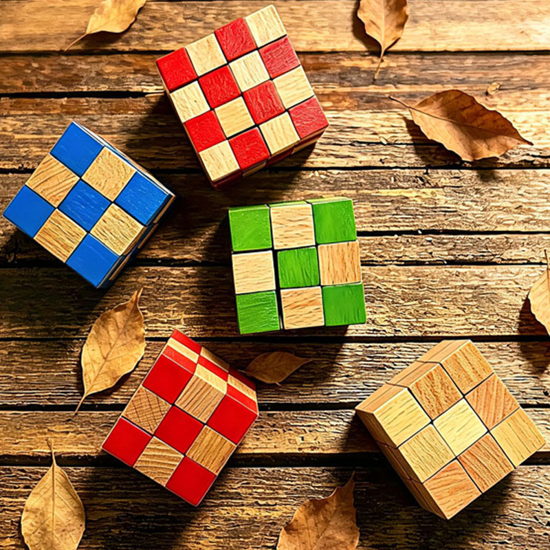 Casse-tête en bois Cube Serpen - Woodworking Hobby avis et prix
